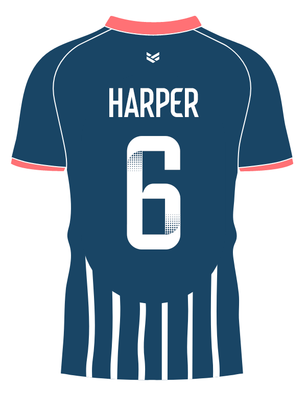 A blue and pink illustrated sports shirt with white names and numbers on the back that rotate periodically.